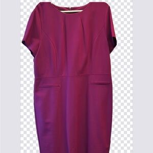 Elegant Talbots Dress